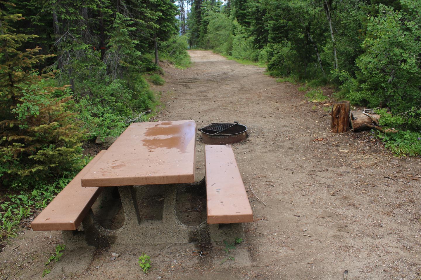 Site table and fire ring are shown between treesSite 1 picnic table and campfire ring 