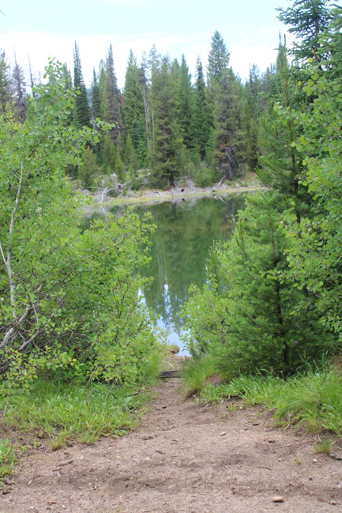 Trail leading down the the reservoir through pine treesSite 1 trail to Deadwood Reservoir 