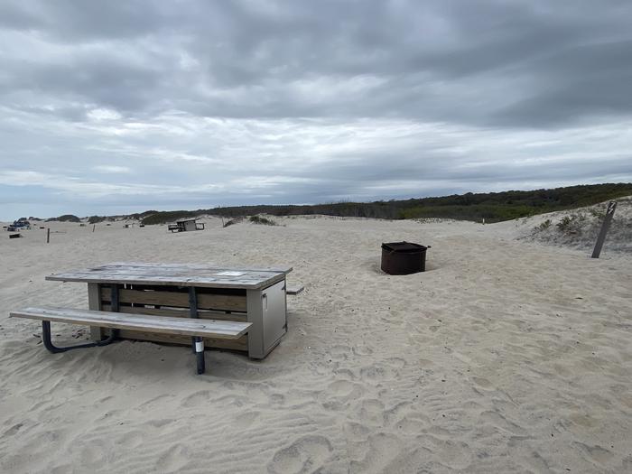 Oceanside site 77 in May. View of the wooden picnic table and black metal fire ring on the sand.  Sign post nearby says 77 on it.  Other campsites within view.Oceanside site 77 in May.