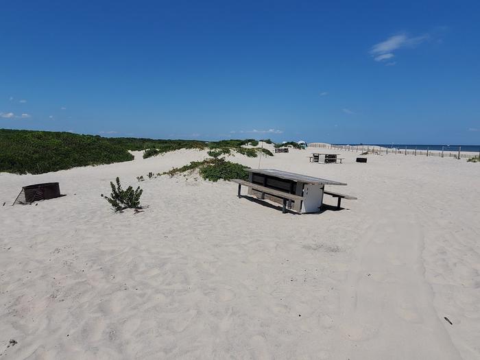 Oceanside site 79 in August.  View of wooden picnic table and black metal fire ring on the sand.  Other campsites within the view.  Partial view of the dune fencing. Oceanside site 79 in August.