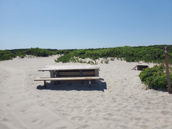Oceanside site 79 in August.  View of wooden picnic table on the sand with black metal fire ring partially hidden by brush.  Sign post nearby says 79 on it.Oceanside site 79 in August.