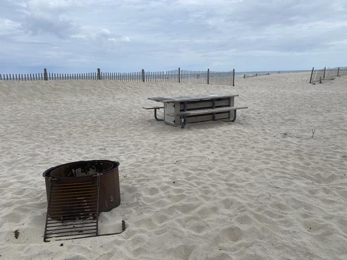 Oceanside site 81 in May.  Close up view of black metal fire ring and wooden picnic table.  Dune fencing runs along the beach behind the campsite with a break in the fence leading to the ocean front.  Oceanside site 81 in May.