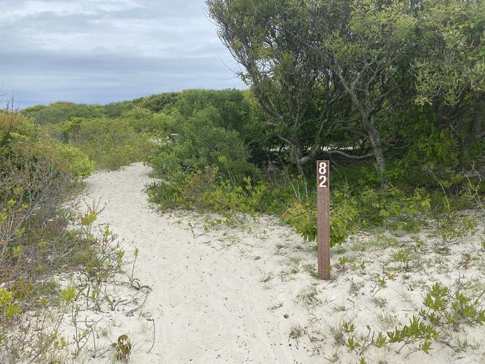 Oceanside site 82 in May.  View of the sign post that says 82 on it which is at the entrance of a sandy pathway.  Brush surrounds the sign and the path leading to the campsite.Oceanside site 82 in May.