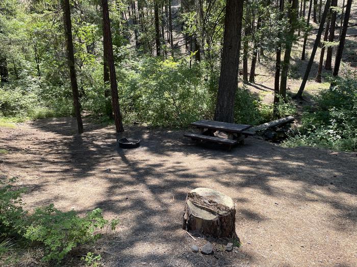 A photo of Site 008 of Loop LOWE at PERRY SOUTH CAMPGROUND with Picnic Table