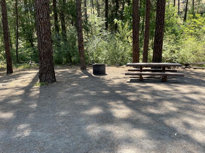 A photo of Site 010 of Loop LOWE at PERRY SOUTH CAMPGROUND with Picnic Table