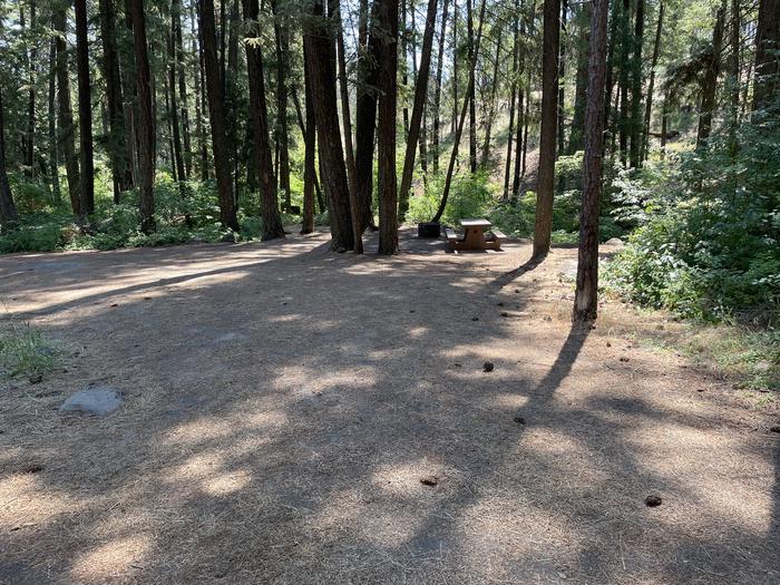 A photo of Site 013 of Loop LOWE at PERRY SOUTH CAMPGROUND with Shade