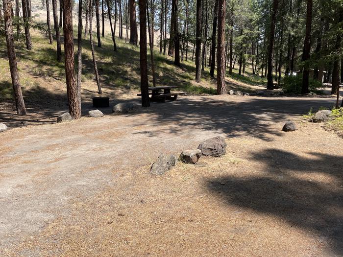 A photo of Site 038 of Loop LOWE at PERRY SOUTH CAMPGROUND with Shade