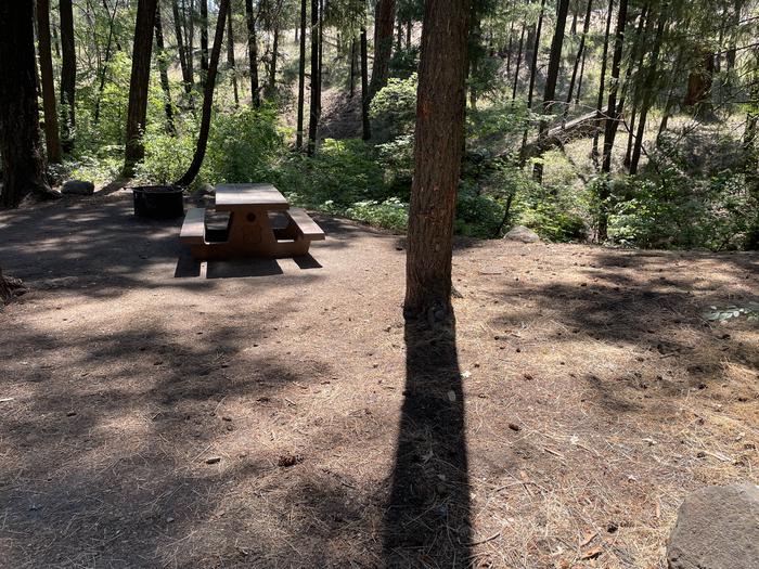 A photo of Site 013 of Loop LOWE at PERRY SOUTH CAMPGROUND with Picnic Table