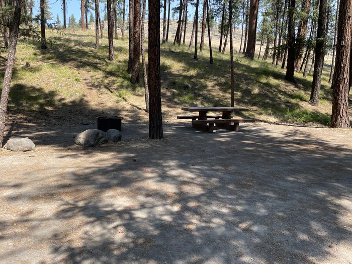 A photo of Site 038 of Loop LOWE at PERRY SOUTH CAMPGROUND with Picnic Table