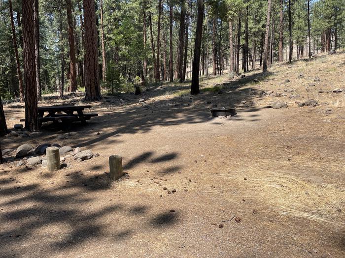 A photo of Site 039 of Loop LOWE at PERRY SOUTH CAMPGROUND with Picnic Table