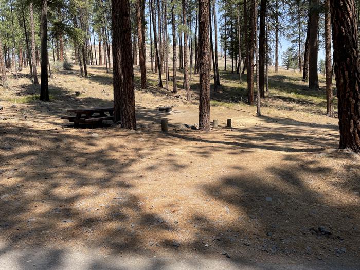 A photo of Site 039 of Loop LOWE at PERRY SOUTH CAMPGROUND with Shade