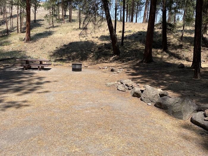 A photo of Site 040 of Loop LOWE at PERRY SOUTH CAMPGROUND with Picnic Table