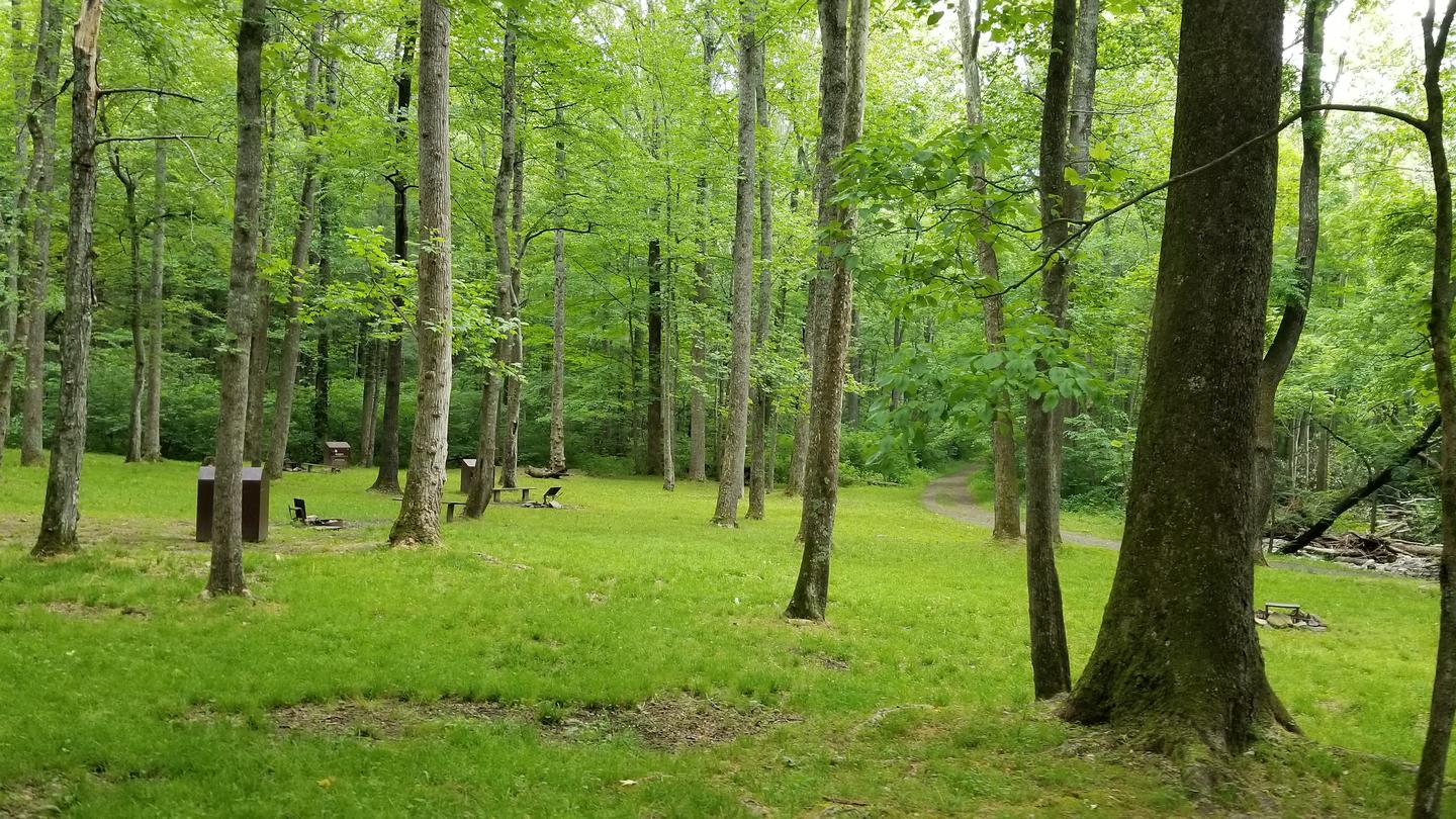 Primitive sites at Rock Castle Gorge include fire grate and food storage locker.Primitive campsites at Rock Castle Gorge Backcountry Campground