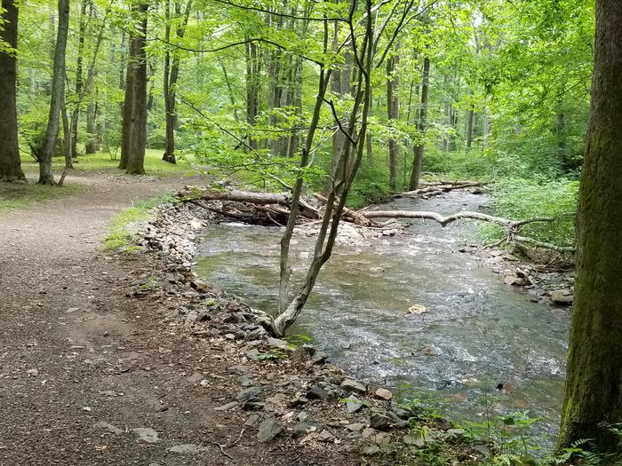 Mountain stream flows near backcountry campground.Mountain creek flows near scenic backcountry campsites.