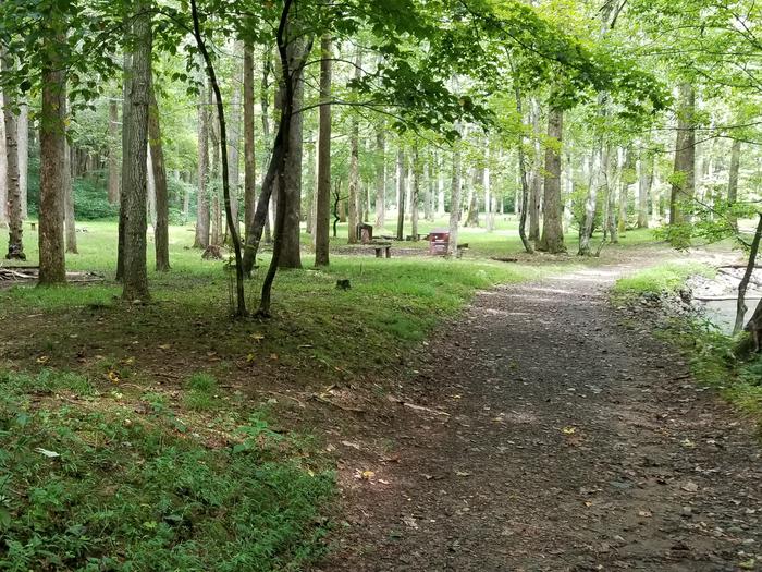 Trail runs by primitive campsites.Primitive campsites at Rock Castle Gorge Backcountry Campground.