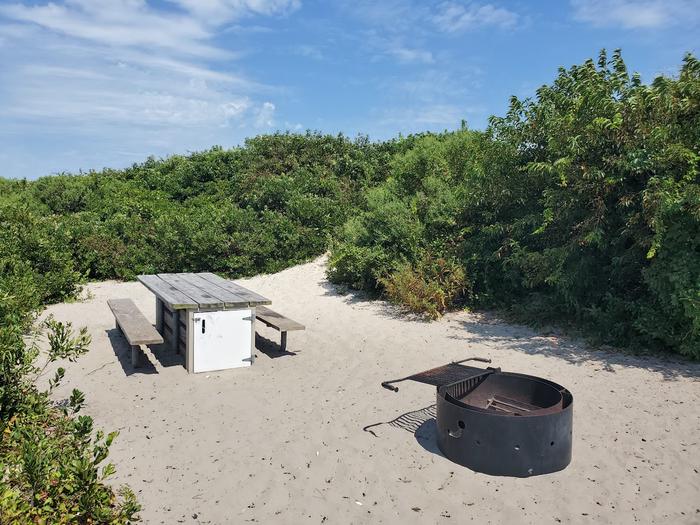 Oceanside site 82 in August.  View of black metal fire ring and wooden picnic table on the sand.  Brush surrounds the campsite.  There is a partial view of a sandy path leading away to the back of the campsite.Oceanside site 82 in August.