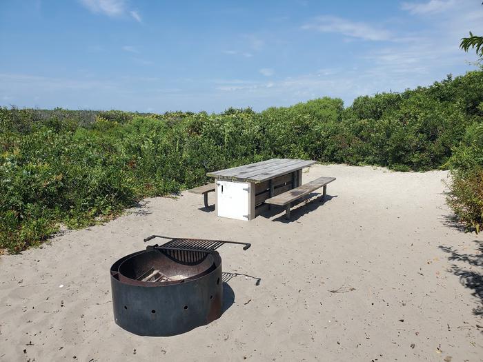 Oceanside site 82 in August.  View of wooden picnic table and black metal fire ring on the sand.  Brush surrounds the campsite.Oceanside site 82 in August.