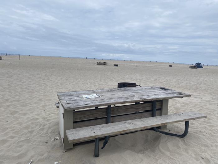 Oceanside site 83 in May.  View of wooden picnic table with a partial view of the black metal fire ring on the sand.  Other campsites within the view.Oceanside site 83 in May.