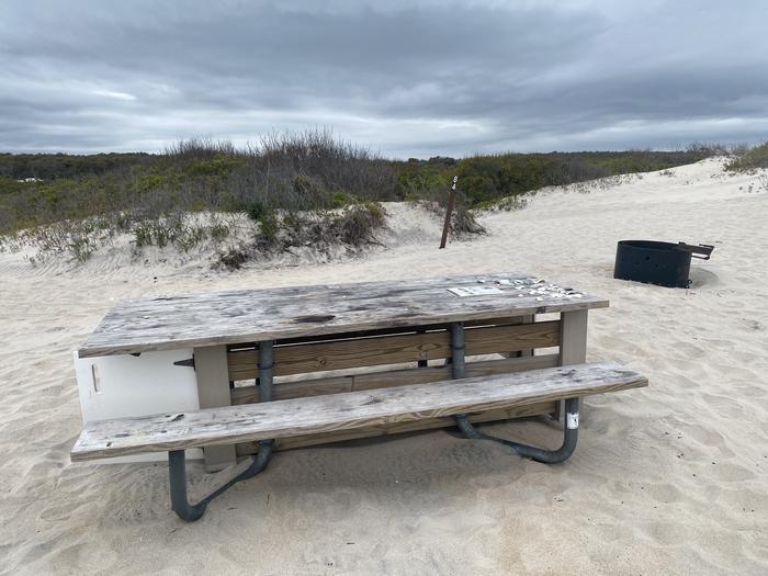 Oceanside site 84 in May.  View of the wooden picnic table and black metal fire ring on the sand.  Sign post nearby that says 84 on it.  Brush behind the campsite on the horizon.Oceanside site 84 in May.