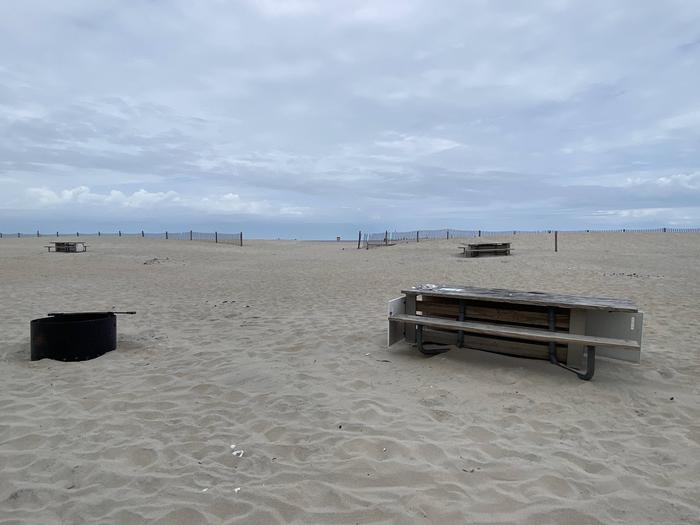 Oceanside site 84 in May.  View of the wooden picnic table and black metal fire ring on the sand.  Dune fencing runs along the beach with an opening behind the campsite.  Other campsites within the view.Oceanside site 84 in May.