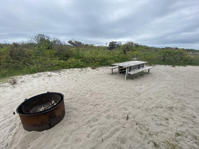 Oceanside site 86 in May.  Close up view of the black metal fire ring with the wooden picnic table behind it on the sand.  Brush runs along the back side of the campsite.Oceanside site 86 in May.