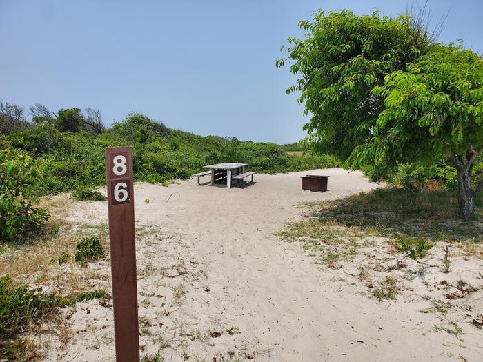 Oceanside site 86 in July.  Close up view of the sign post that says 86 on it.  Wooden picnic table and black metal fire ring on the sand further down the pathway.  Brush to the left of the campsite with trees to the right.Oceanside site 86 in July.