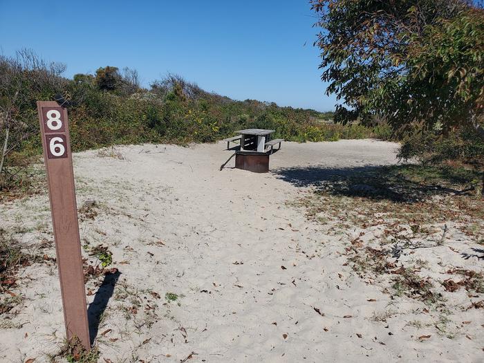 Oceanside site 86 in October.  Close up view of the sign post that says 86 on it with wooden picnic table and black metal fire ring further down the path on the sand.  Brush to the left of the campsite with trees to the right.Oceanside site 86 in October.