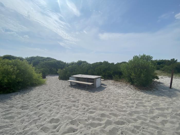 Oceanside site 87 in July.  View of the wooden picnic table and black metal fire ring on the sand.  Brush surrounds the campsite.  The sign post is nearby at the entrance.Oceanside site 87 in July.