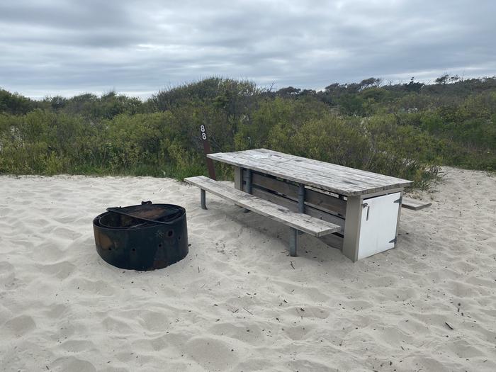 Oceanside site 88 in May.  Close up view of the black metal fire ring and the wooden picnic table on the sand.  Brush surrounds the campsite.Oceanside site 88 in May.