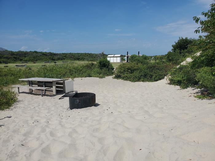 Oceanside site 88 in August.  View of the black metal fire ring  and wooden picnic table on the sand.  Brush surrounds the campsite.  There are sandy paths that lead away from the campsite.  Bathrooms in the distance.Oceanside site 88 in August.