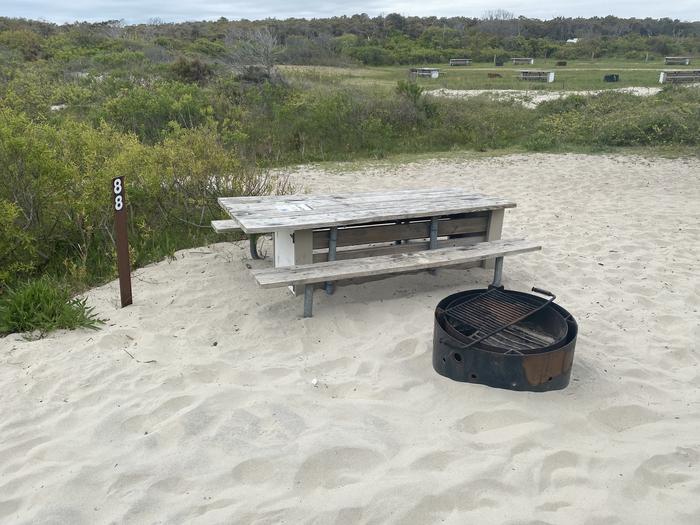 Oceanside site 88 in May.  Close up view of the black metal fire ring and wooden picnic table on the sand.  Sign post nearby that says 88 on it.  Other campsites on the horizon.Oceanside site 88 in May.