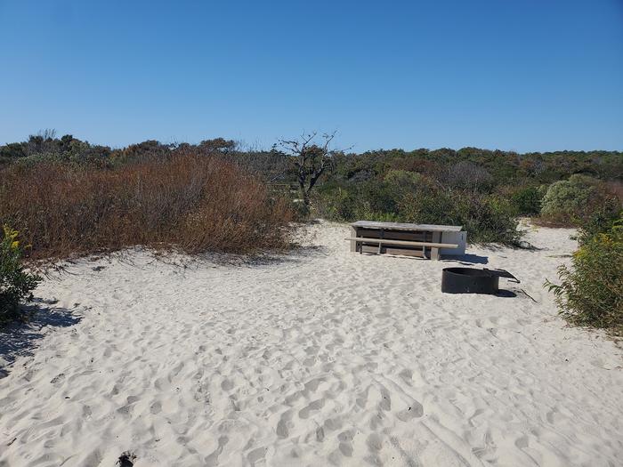 Oceanside site 89 in October.  View of wooden picnic table and black metal fire ring on the sand.  Brush surrounds the campsite.Oceanside site 89 in October.