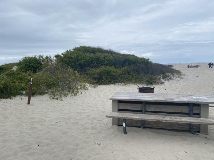 Oceanside site 89 in May.  Close up view of the wooden picnic table on the sand.  Black metal fire ring is partially obscured by the picnic table.  Sign post nearby says 89 on it.  Other campsites within view.  Dune behind the campsite.Oceanside site 89 in May.