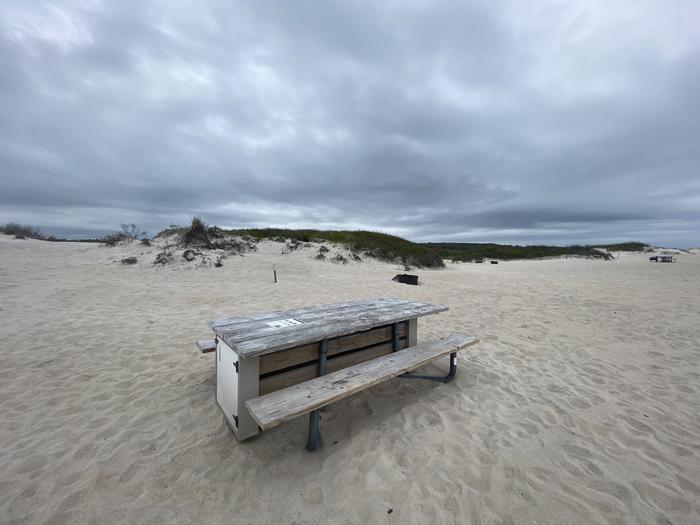 Oceanside site 93 in May 2024.  Close up view of the wooden picnic table on the sand.  Black metal fire ring partially hidden behind the picnic table.  Dunes along the horizon behind the campsite.  Other campsites within the view.Oceanside site 93 - May 2024.