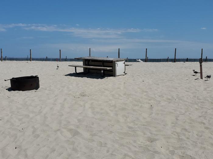 Oceanside site 94 in August.  View of wooden picnic table and black metal fire ring on the sand.  Sign post nearby says 94 on it and has seagulls walking around at the base.  Dune fencing behind the campsite.Oceanside site 94 in August.