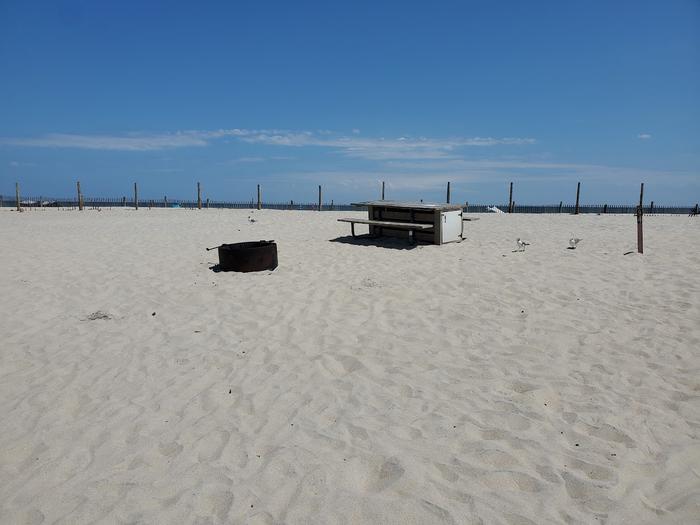 Oceanside site 94 in August.  View of the black metal fire ring and wooden picnic table on the sand.  Sign post nearby that says 94 on it.  Seagulls are nearby the campsite.  Dune fencing runs along the beach behind the campsite.Oceanside site 94 in August.
