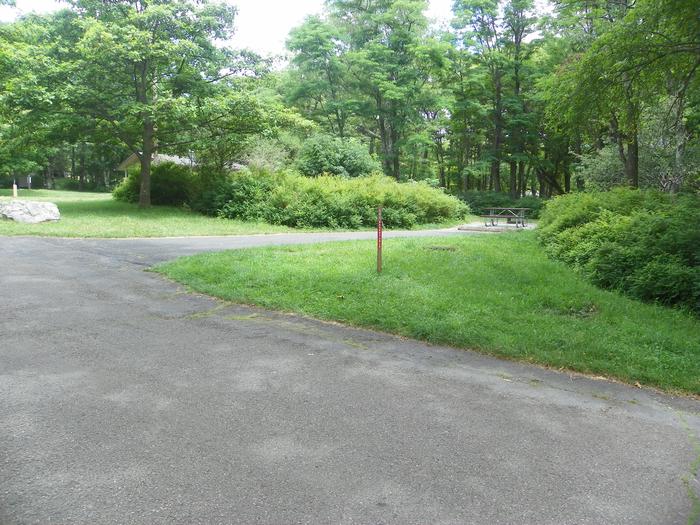 Site A94 has a level back in driveway surrounded by thick bushes. Picnic table, fire ring, and tent pad at rear of site.