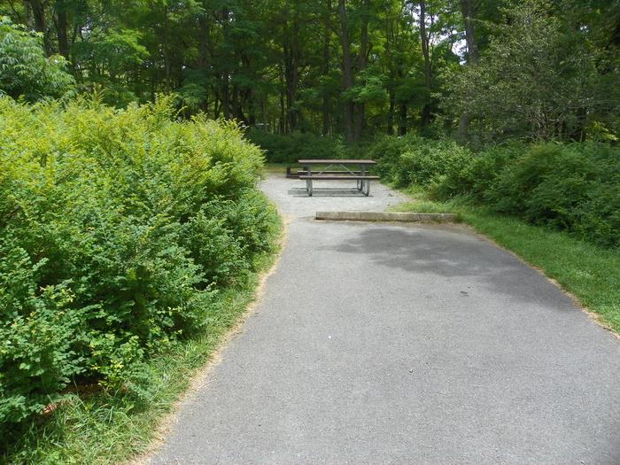 Site A94 has thick bushes next to the edge of the driveway, with picnic table in the back.