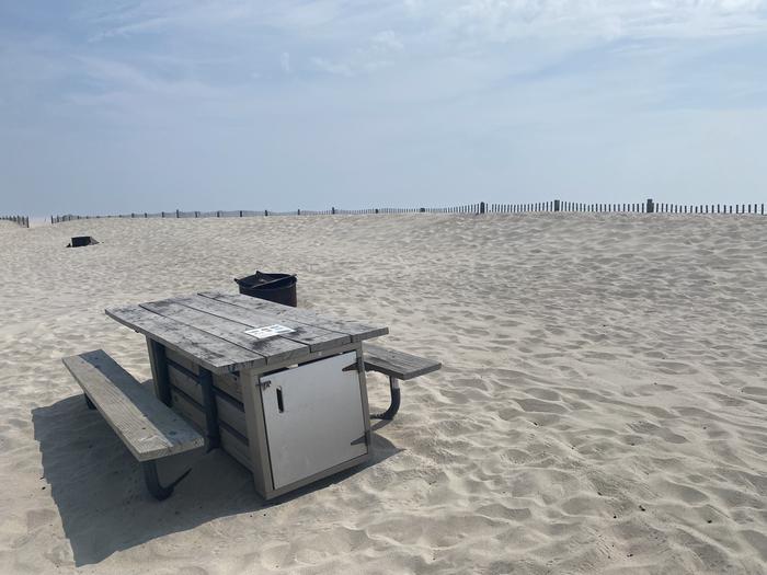 Oceanside site 95 in July 2024.  View of wooden picnic table on the sand.  Black metal fire ring is partially obscured by the picnic table.  Dune fencing runs along the beach front on the horizon. Other campsites within view.Oceanside site 95 - July 2024.