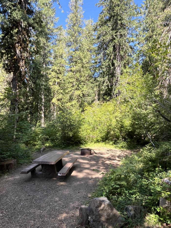 A photo of Site 02 of Loop West at BREITENBUSH CAMPGROUND with Picnic Table, Shade