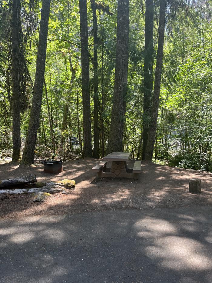 A photo of Site 16 of Loop East at BREITENBUSH CAMPGROUND with Shade