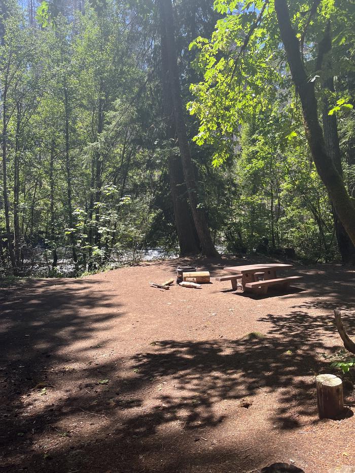 A photo of Site 15 of Loop West at BREITENBUSH CAMPGROUND with Waterfront