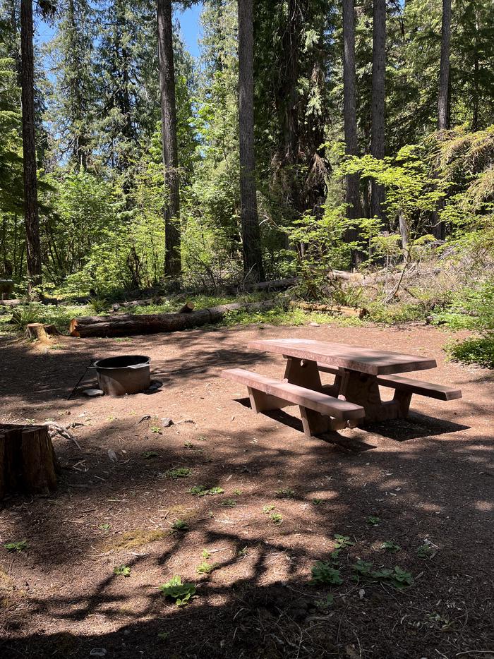 A photo of Site 17 of Loop East at BREITENBUSH CAMPGROUND with Picnic Table