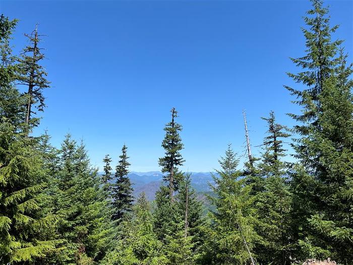 View of fir trees and distant mountain ridges, blue sky aboveView for Timber Butte porch