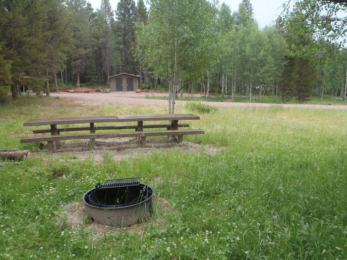 Red Springs Campground - Double Table. 