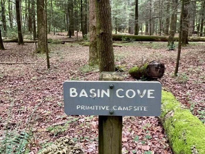 Basin Cove Primitive Campsite