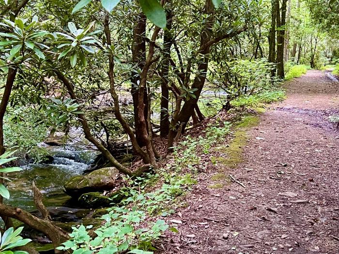 Trails Along the Creek Nearby