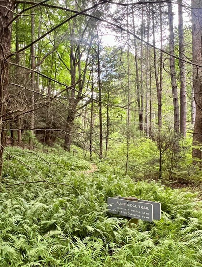 Bluff Ridge Trail Nearby