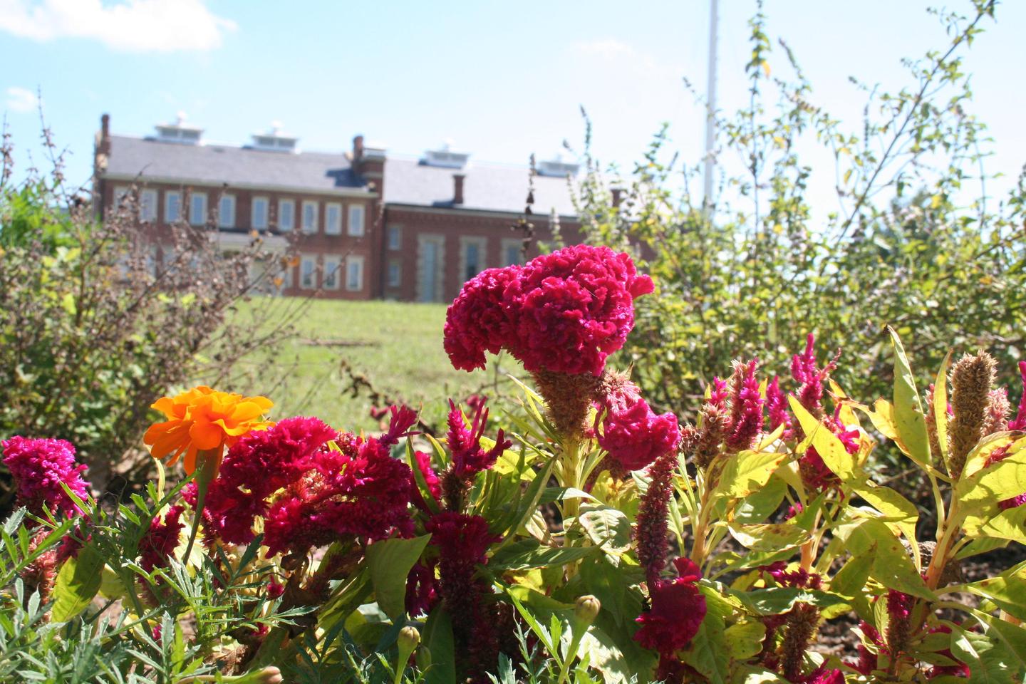 Officers' GardenThe Officers' Garden is maintained with assistance from the River Valley Master Gardeners.