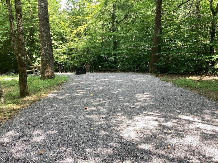 A photo of Site 007 of Loop River at BLACK MOUNTAIN CAMPGROUND with Picnic Table, Fire Pit, Shade, Tent Pad, Waterfront, Lantern Pole